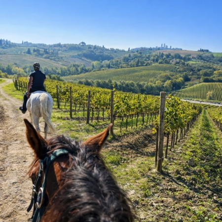 One of the best horseback riding experiences in Tuscany from Florence