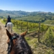 One of the best horseback riding experiences in Tuscany from Florence